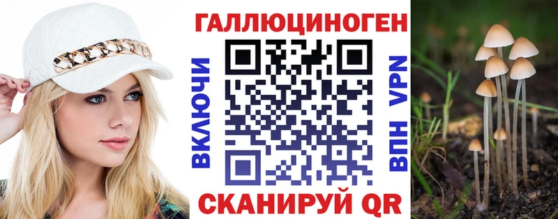 Купить  Кызыл  Галлюциногенные грибы Magic Shrooms 